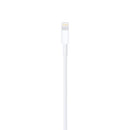 Apple Lightning auf USB Kabel 1m (MD818ZM/A)