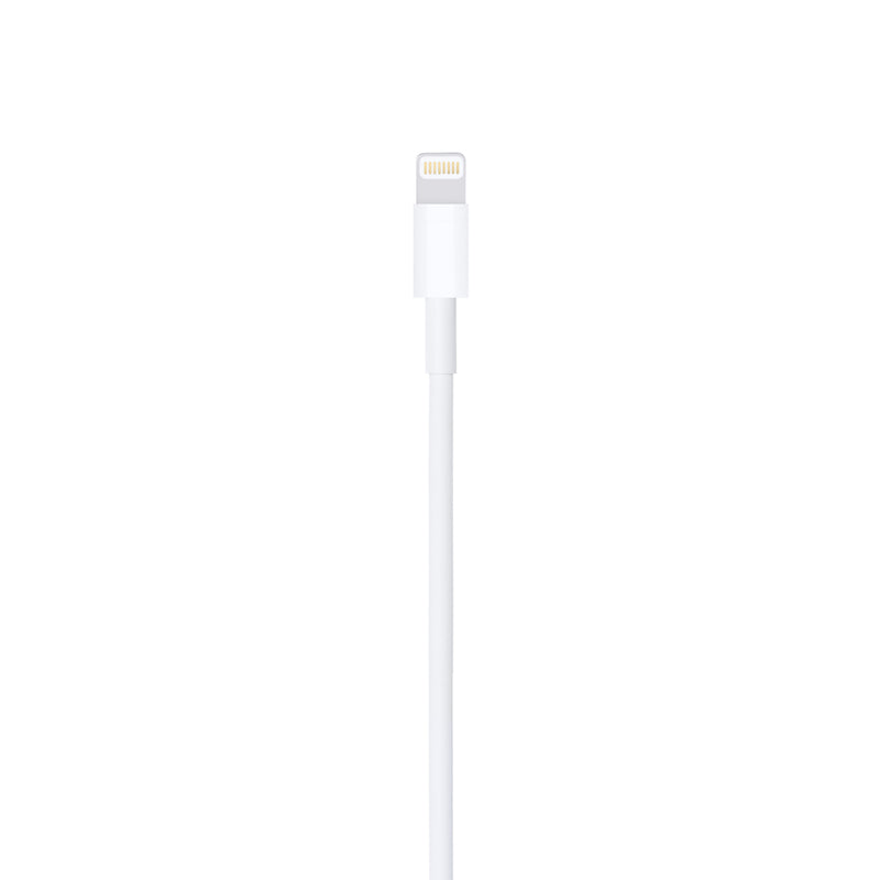Câble Apple Lightning vers USB 2 m (MD819ZM/A)