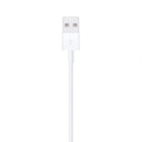 Apple Lightning auf USB Kabel 2m (MD819ZM/A)